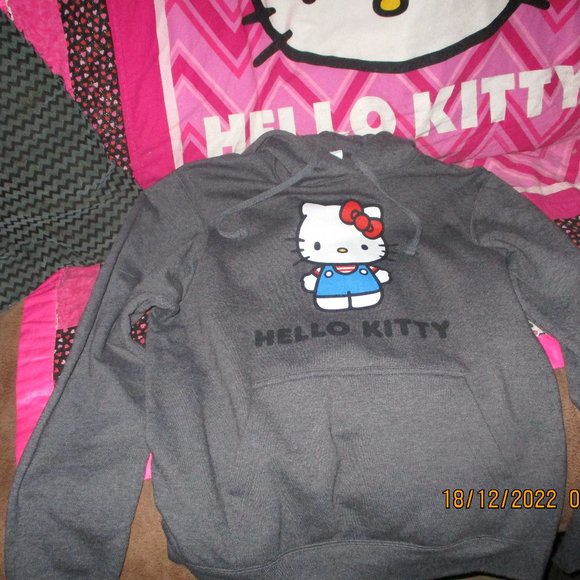 BRAND NEW UNISEX HELLO KITTY HOODIE - Picture 1 of 3